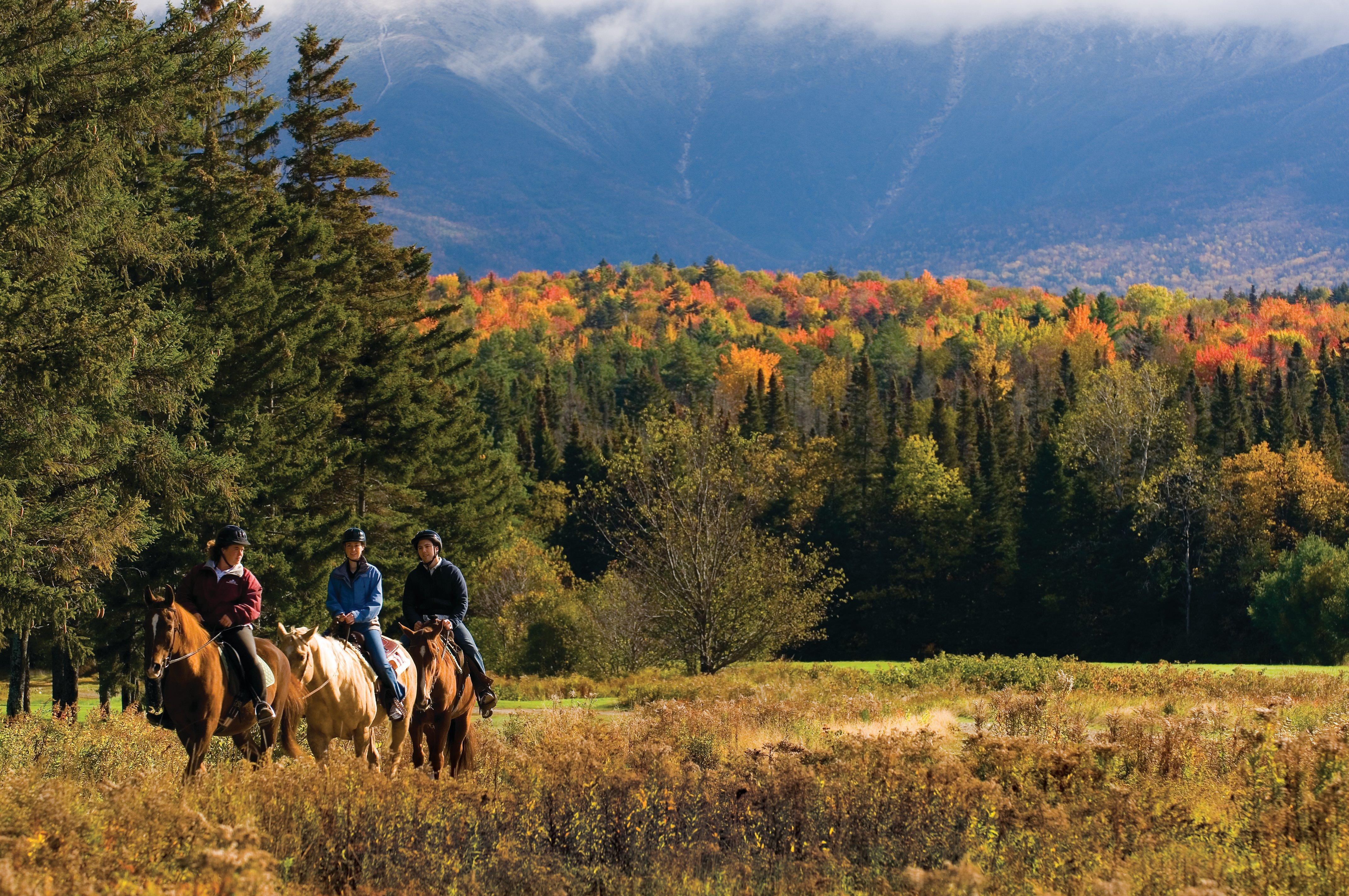 ברטון וודס Omni Mount Washington Resort & Spa מראה חיצוני תמונה
